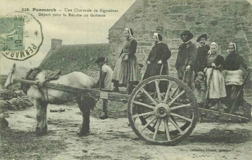 Les chevaux dans le Léon