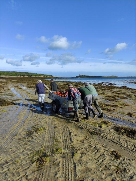 Mardi 28 Juin : nettoyage à l’ile aux américains