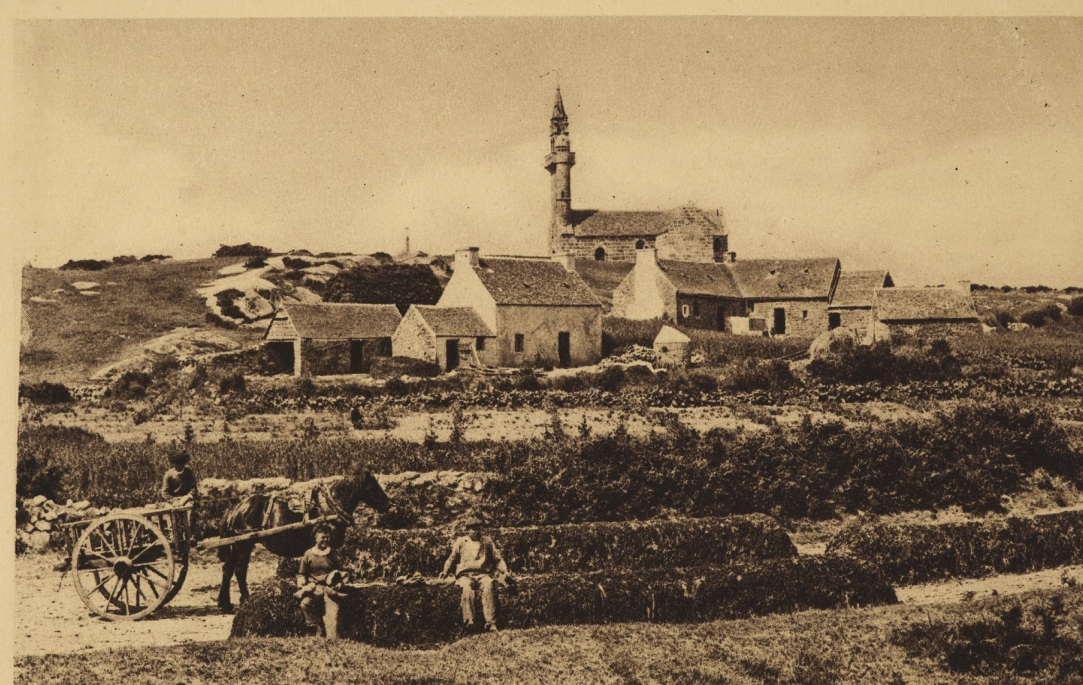 La saga des goémoniers de Plouguerneau à l’île Callot