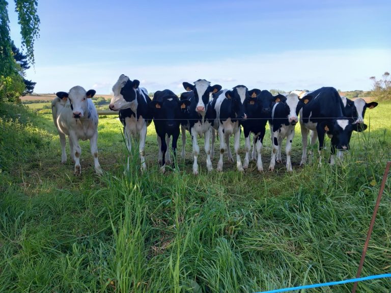 Mardi 16 mai : balisage, Korejou et croix