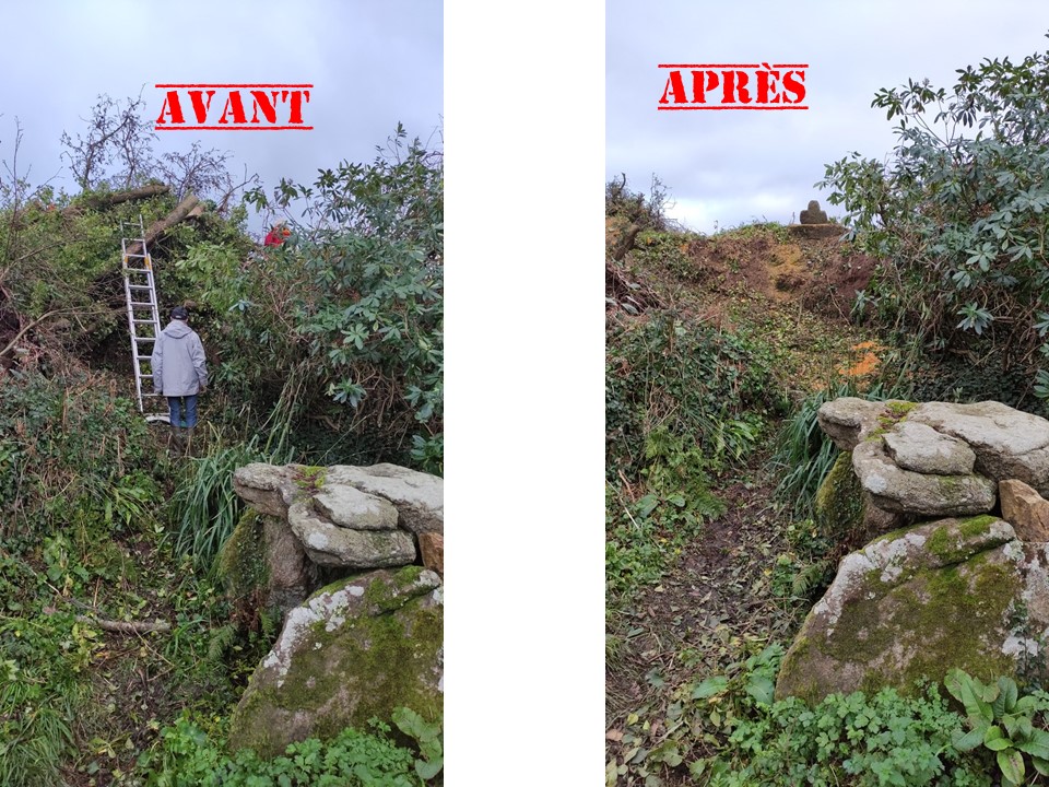 Mardi 21 novembre : bucheronnage et lavoir de Prad-Menan