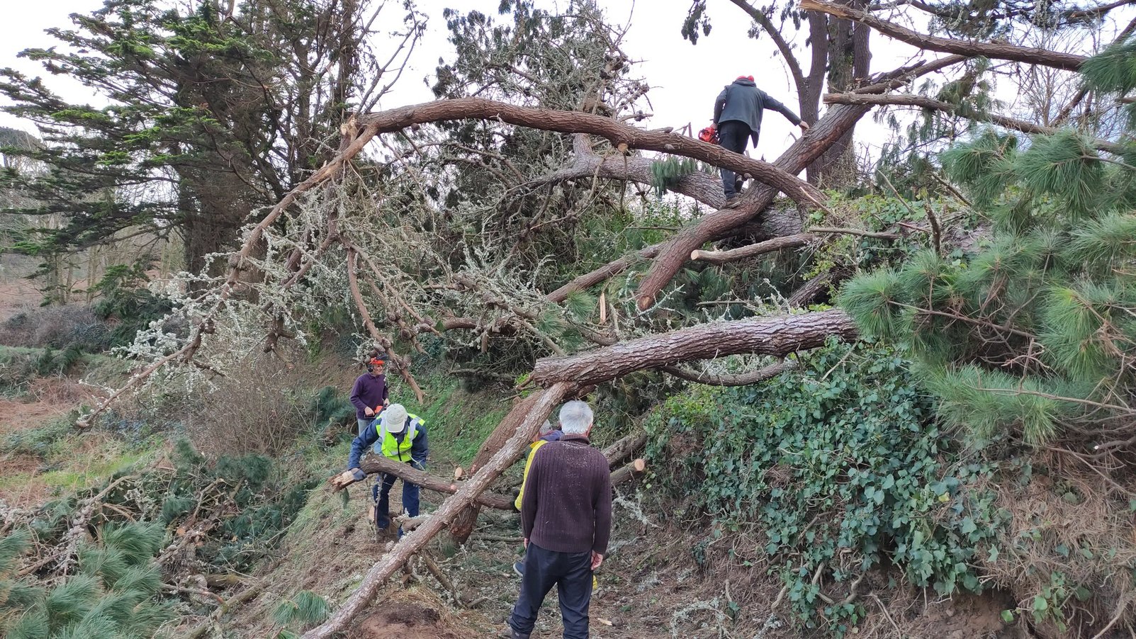 Mardi 5 décembre : Chemin de Prad Yen, fonciel, Lesmel