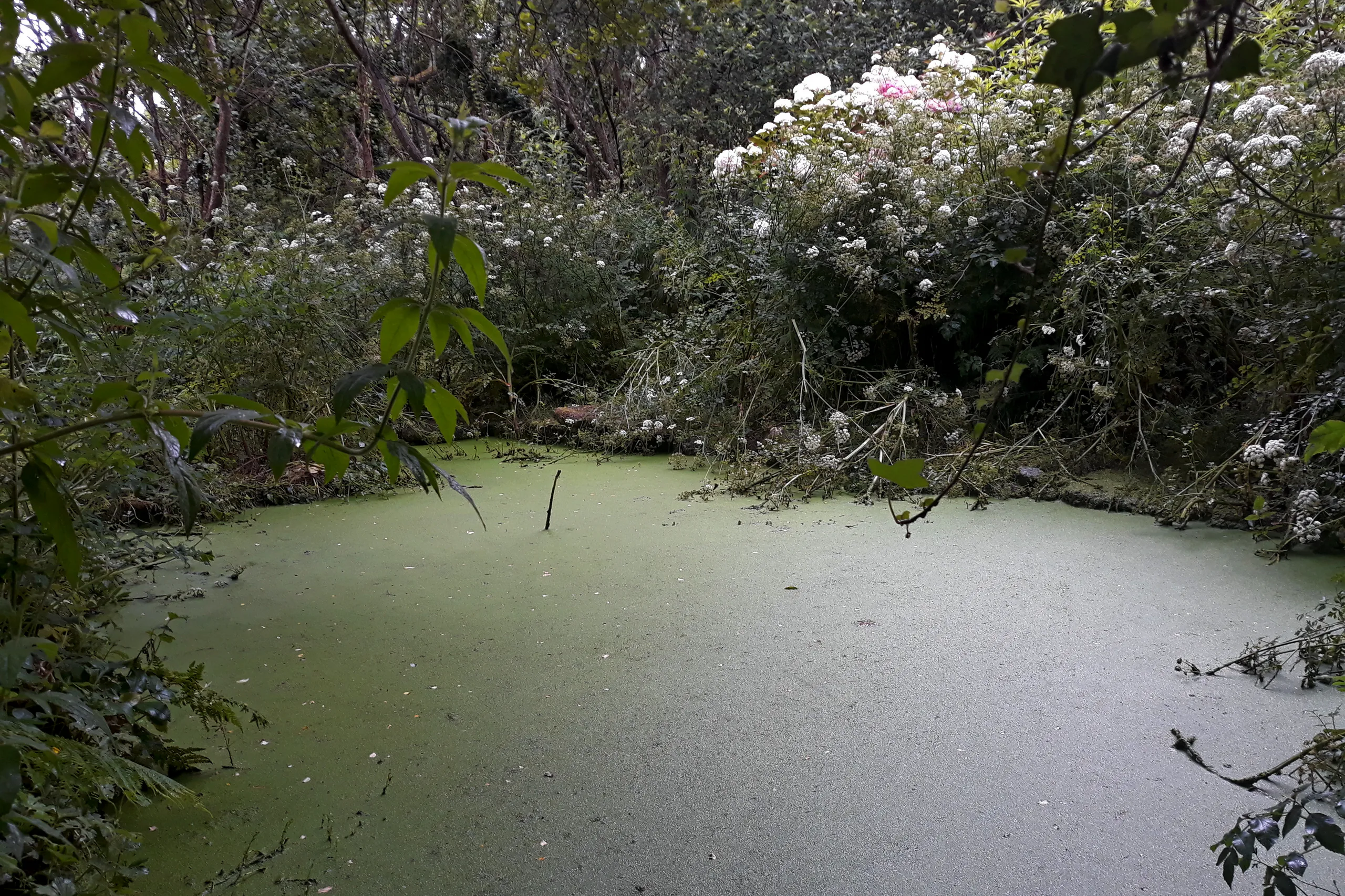 Lavoir de Fronciel