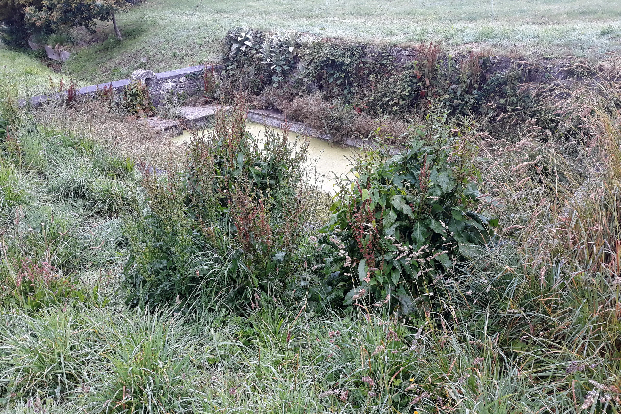 Lavoir de Lesmel