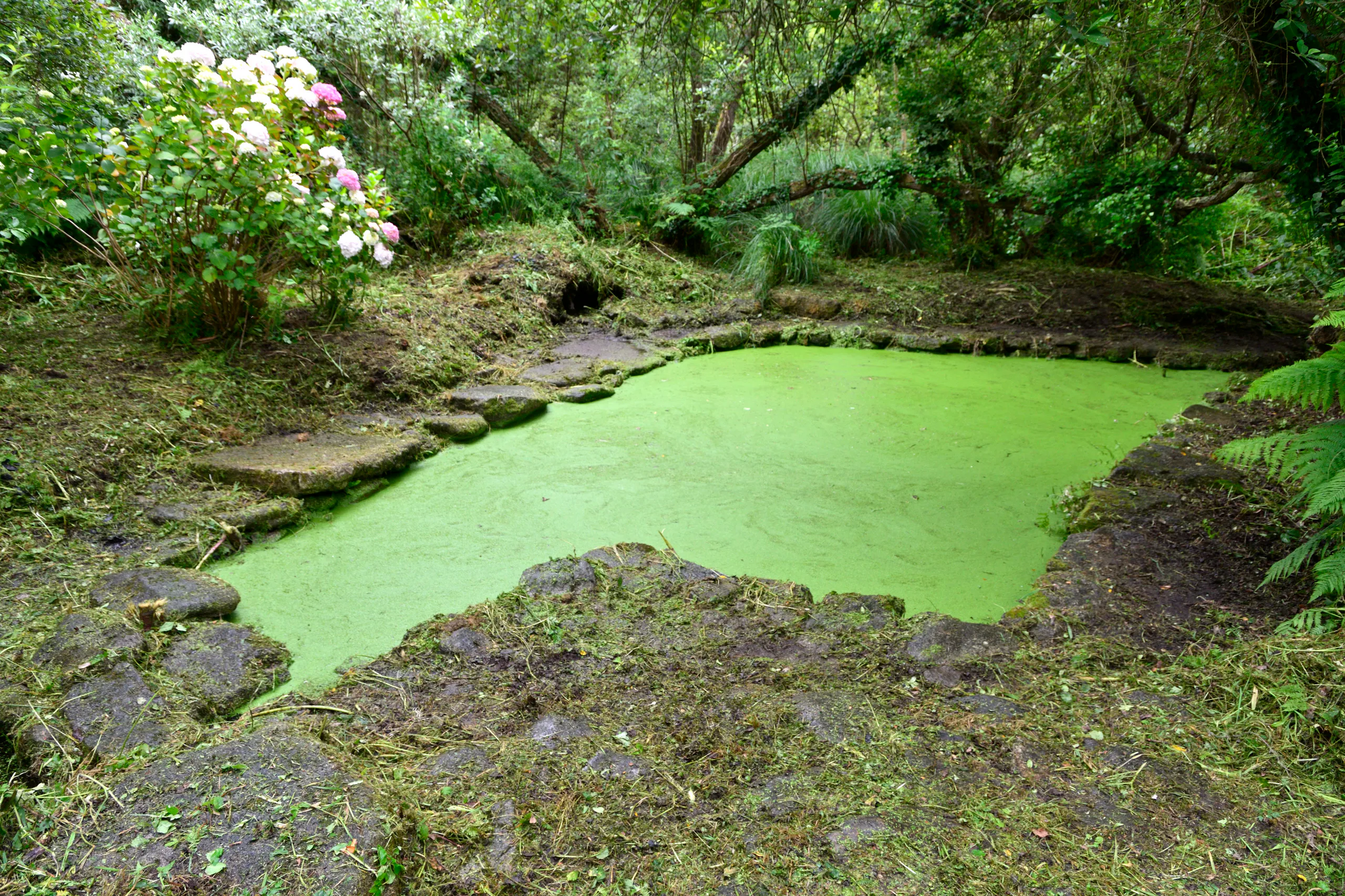 Lavoir de Fronciel