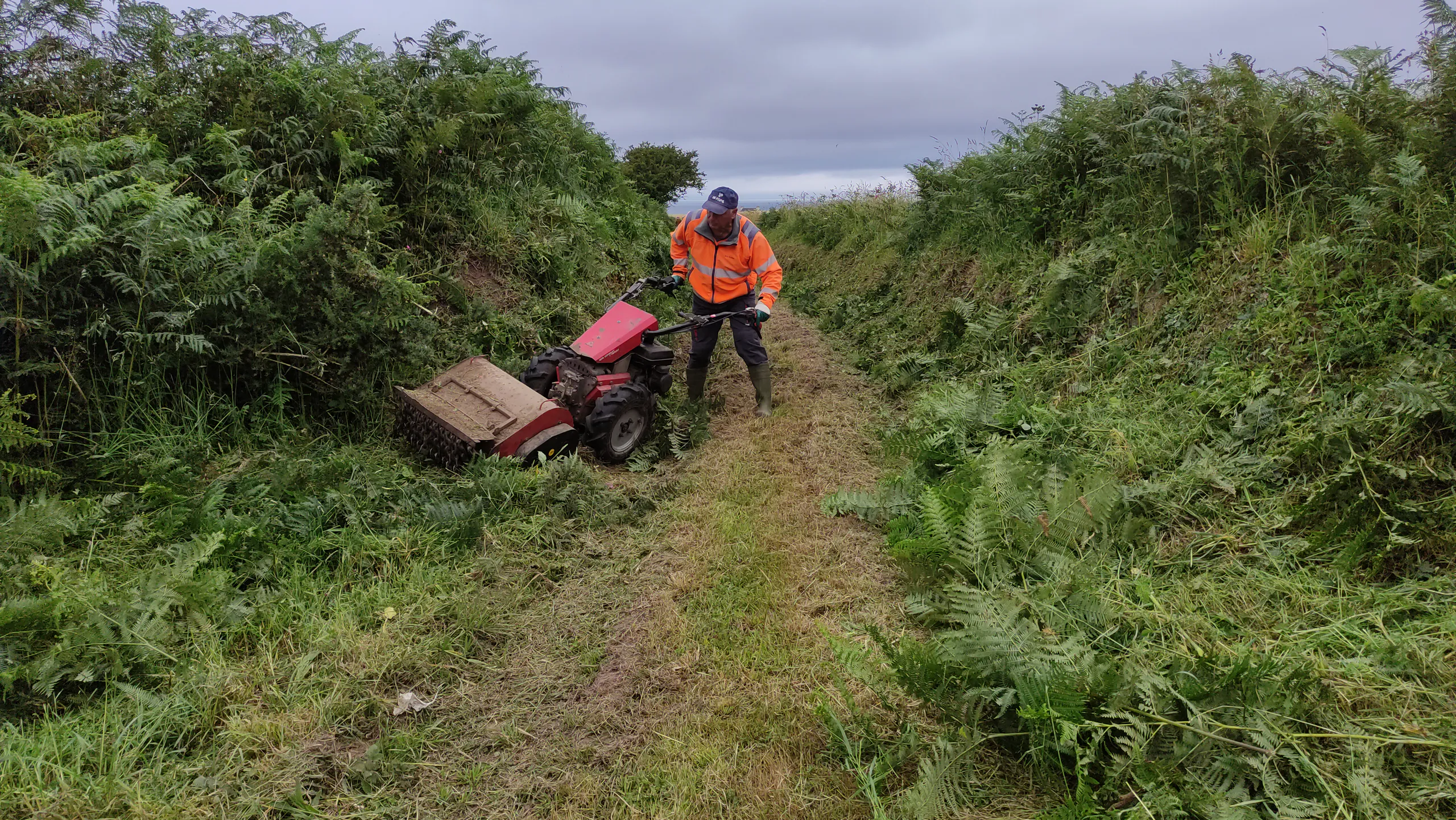 Débroussaillage des chemins