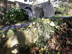 Manoir de Treongar