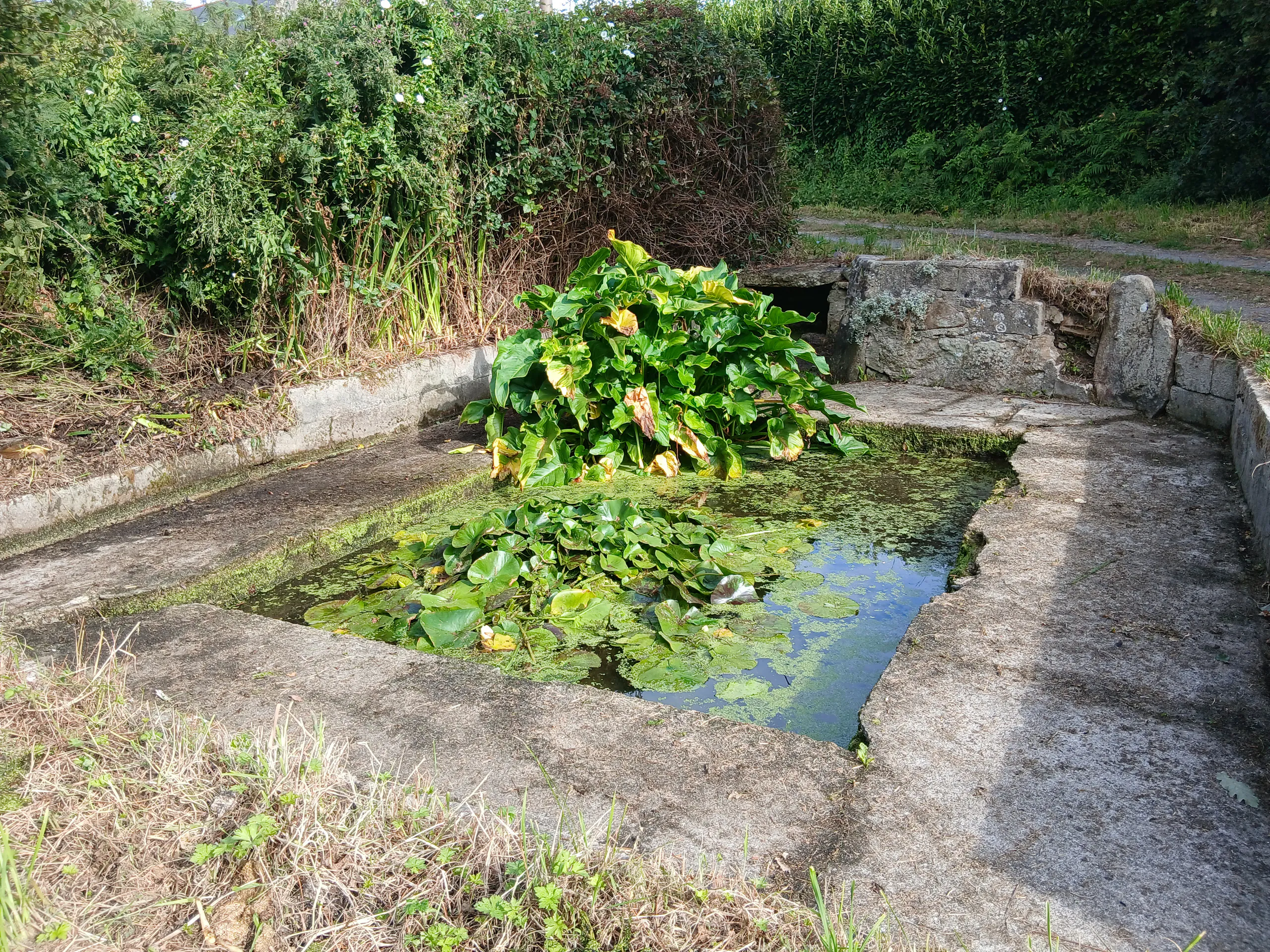 Lavoir du Hellez
