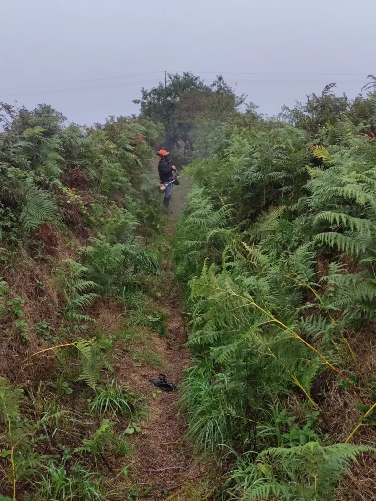 Chemin de Kervolan