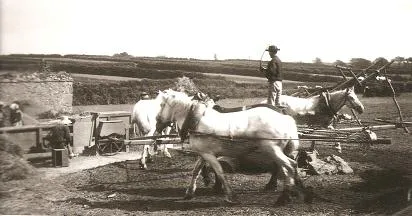 Manège à chevaux