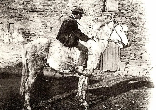 Bidet breton
