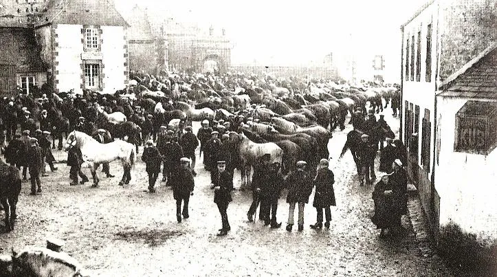 Marché aux chevaux - Commana
