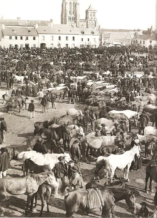Foire aux chevaux au Folgoet