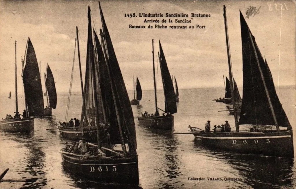 Bateaux de pêche rentrants au port