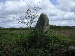 Le Krannog du Naount