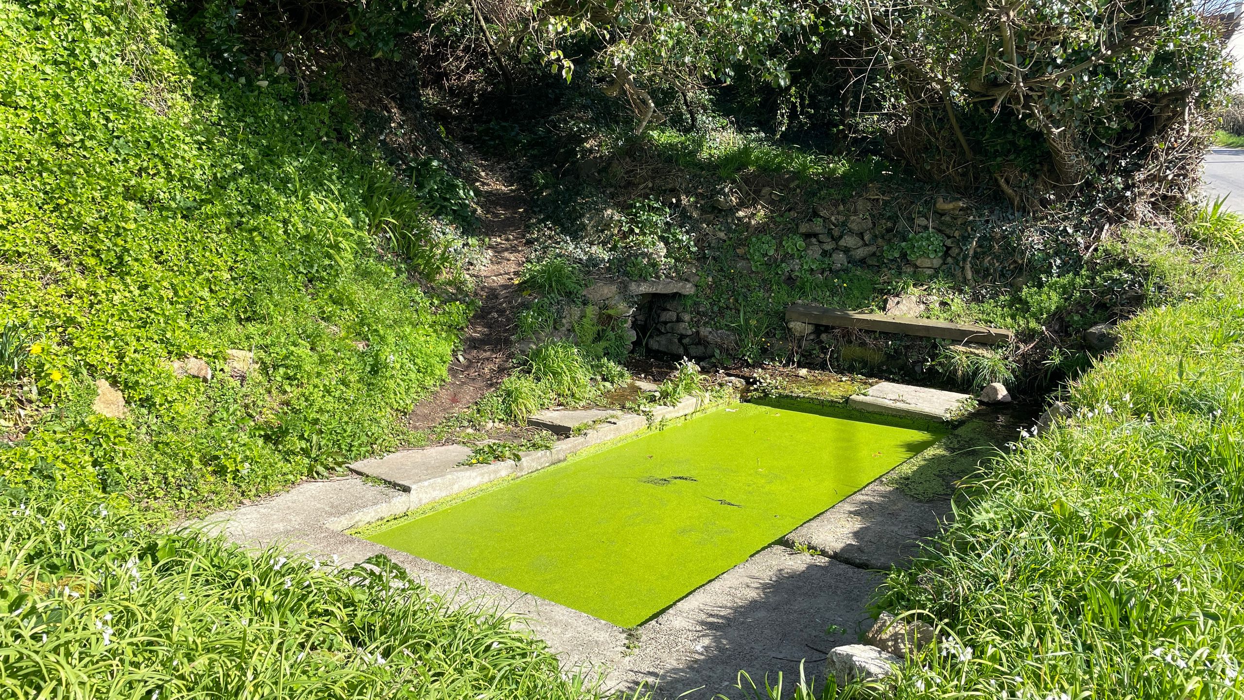 Carte interactive des lavoirs (2025)