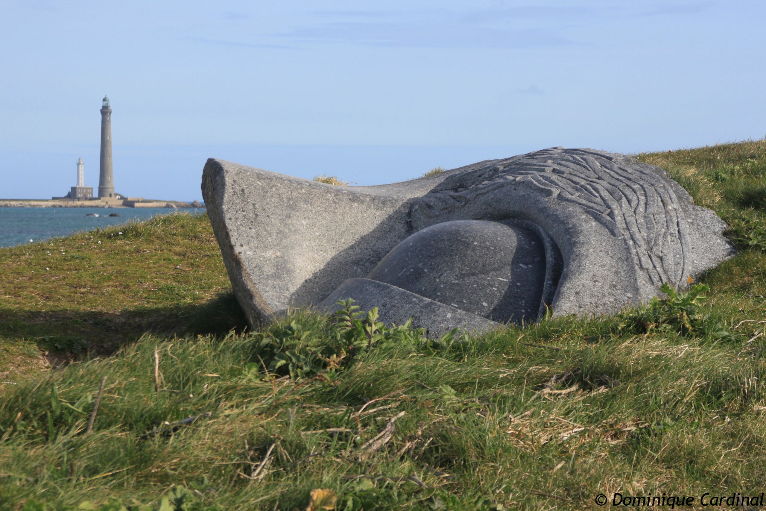 l'oeil du cyclope