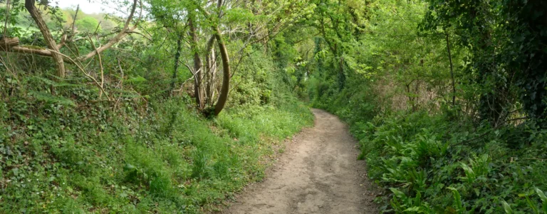 Circuit 8 – A la découverte du Patrimoine Naturel