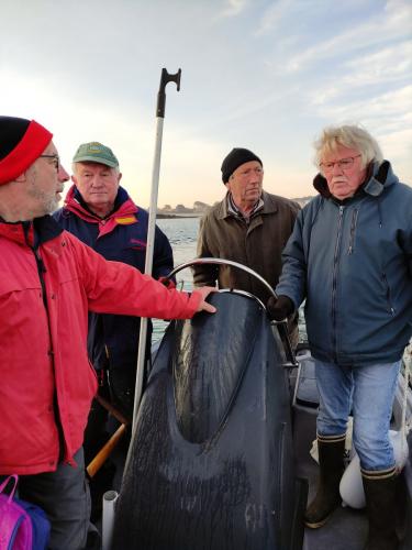 2023-04-04 - Ile vierge