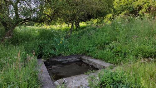 2023-05-23 - Faubourchou