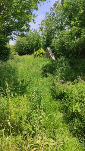 2023-05-30 - Le Naout