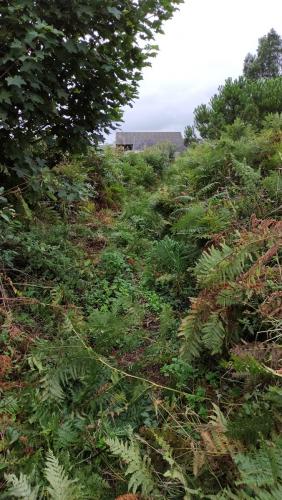 2023-08-23 - chapel_bran