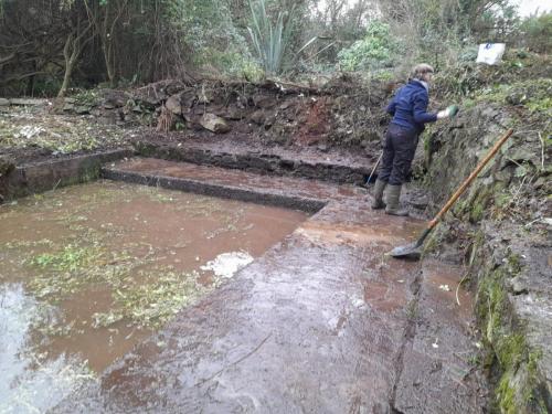 2023-01-24 - Treongar, Stang