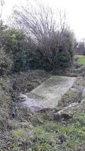 2023-11-25 - Kastel ar ran