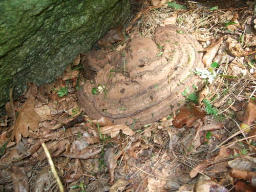 Géocache, c'est motivant!